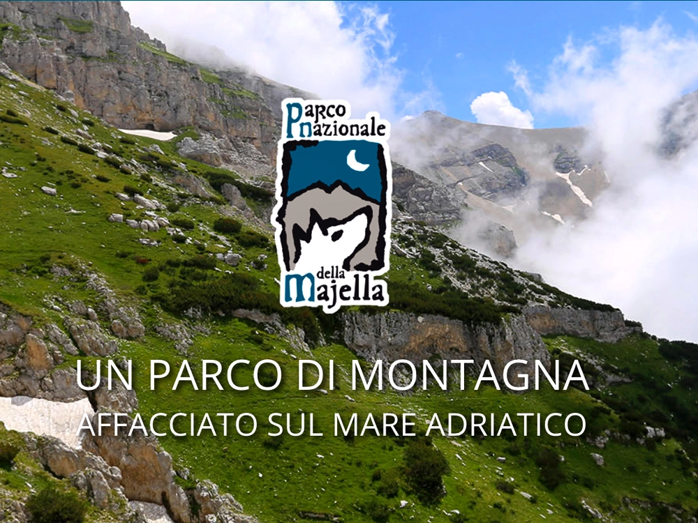 testo alternativo immagine collegamento